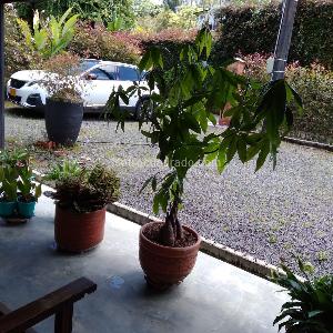 Casa en venta en Via Marsella, Pereira · foto 12 de 15