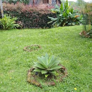 Casa en venta en Via Marsella, Pereira · foto 6 de 15