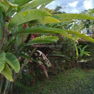 Casa en venta en Via Marsella, Pereira · foto 8 de 15