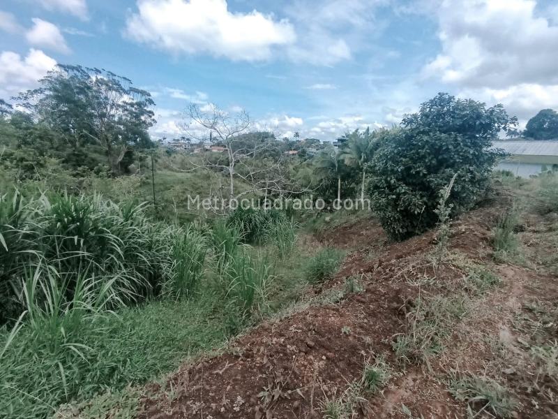 Lote en Venta, CONDINA, Pereira - Vista 2