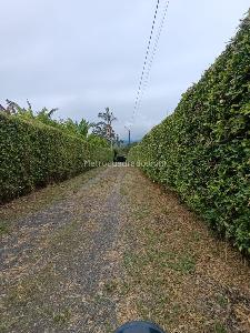 Casa en venta en Paraje Combia, Pereira · foto 4 de 20