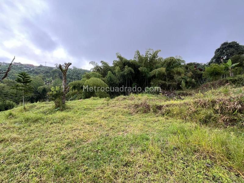 Lote en Venta, PEREIRA, Pereira - Vista 2