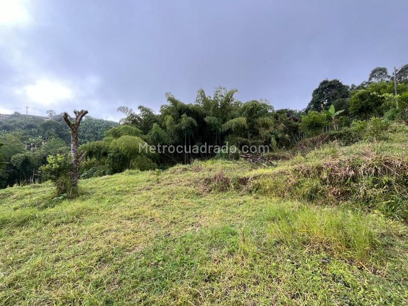 Lote en Venta, PEREIRA, Pereira - Vista 3