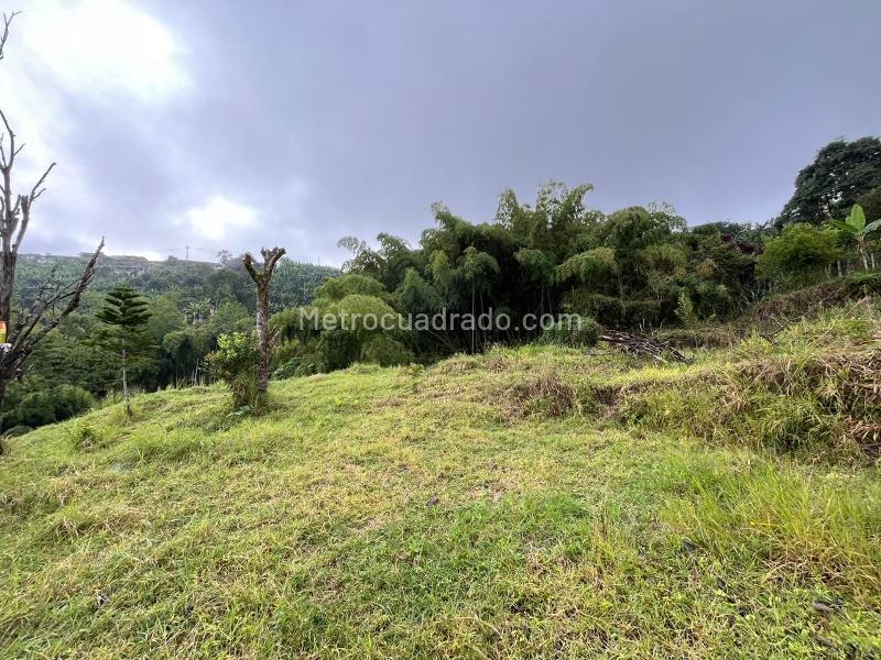 Lote en Venta, PEREIRA, Pereira - Vista 4
