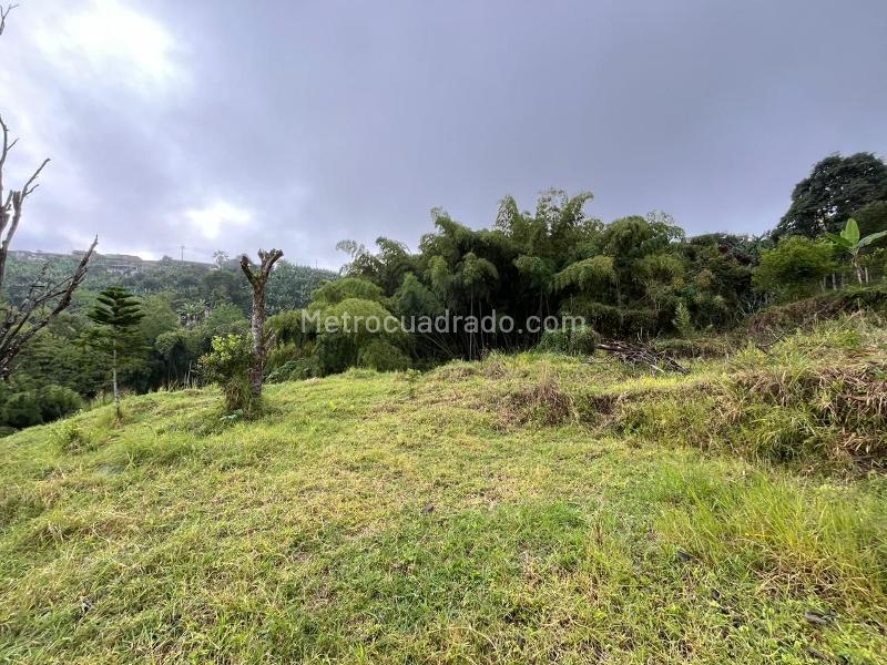 Lote en Venta, PEREIRA, Pereira - Vista 5