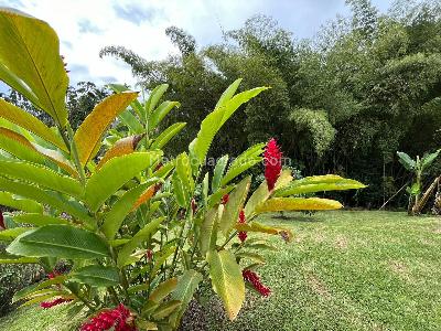 Casa en venta en Cerritos, Pereira · foto 12 de 20