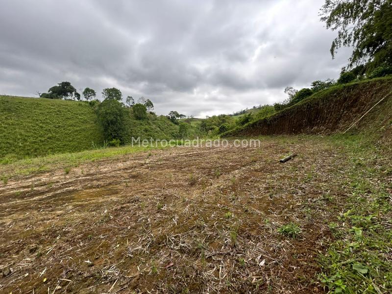 Lote en Venta, CONDINA, Pereira - Vista 4