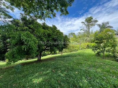 Casa en venta en Pueblito Cafetero, Pereira · foto 7 de 14