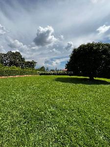 Casa en venta en Paraje Combia, Pereira · foto 2 de 18