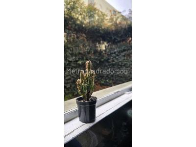 Casa de 4 alcobas en venta en Mallorca 2, Mosquera, 135 m² · foto 20 de 20