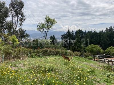 Casa de 4 alcobas en venta en Yerbabuena, Chía · foto 20 de 20