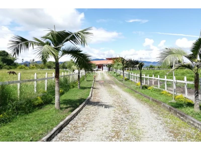 Casa – Armenia, La Suiza, Quimbaya - Vista 3