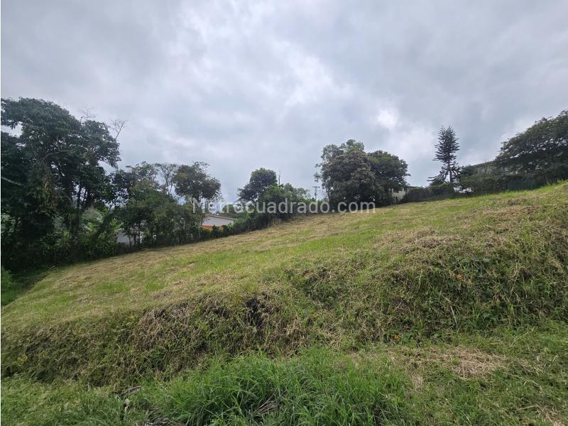 Lote en Venta, Via Circasia, Armenia - Vista 5