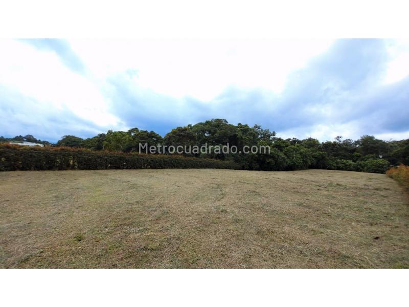 Lote en Venta, Km7 Via Armenia Pereira, Armenia - Más