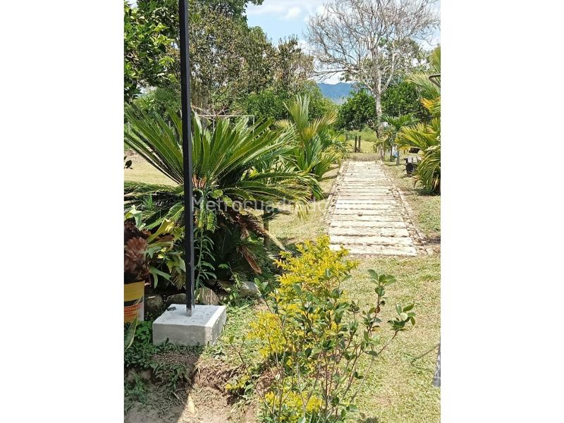 Casa – Montenegro, Valle - Vista 5