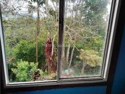 Casa de 3 alcobas en venta en Avenida Centenario, Armenia, 1146 m² · foto 12 de 20
