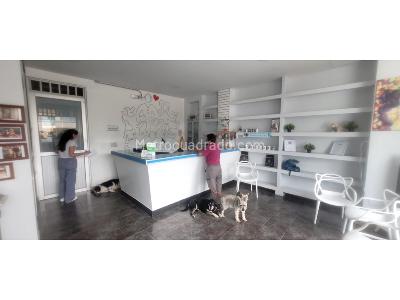 Casa de 5 alcobas en venta en Cll 5norte, Armenia, 557 m² · foto 8 de 19