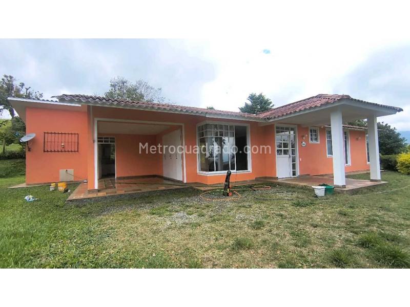 Casa – Salento, Fría - Vista 2
