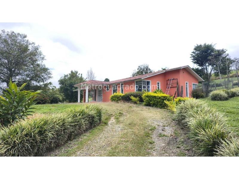 Casa – Salento, Fría - Vista 3