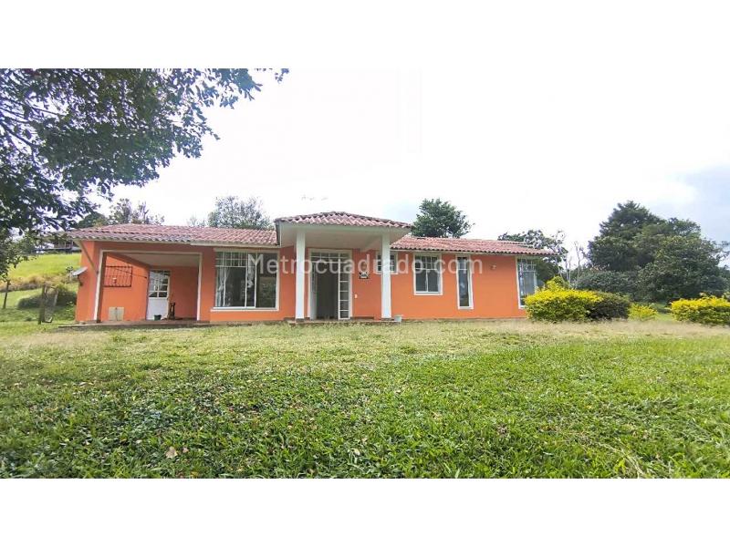 Casa – Salento, Fría - Vista 5