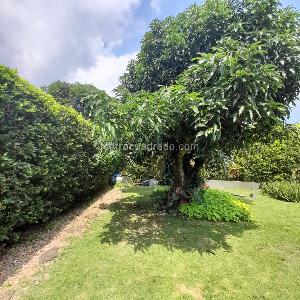 Casa de 5 alcobas en venta en Pance La Viga, Cali, 700 m² · foto 12 de 19