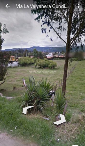 Lote en Venta, Chia, Chía - Vista 5