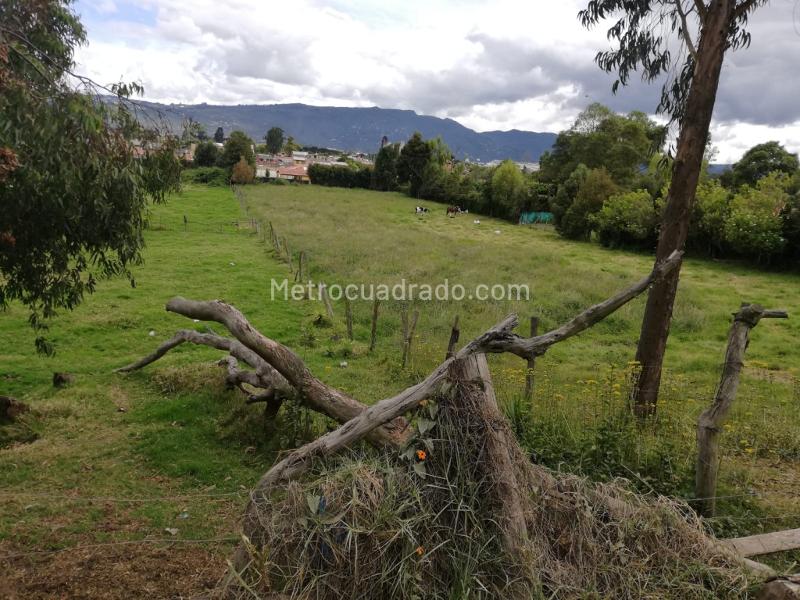 Lote en Venta, Chia, Chía - Más