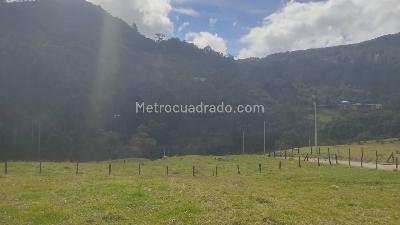 Casa de 5 alcobas en venta en Verda El Libano, La Calera, 265 m² · foto 4 de 18