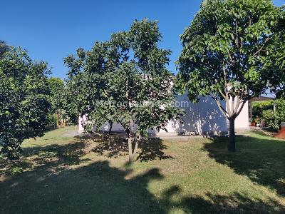 Casa de 4 alcobas en venta en La Torre, Palmira, 278 m² · foto 2 de 20