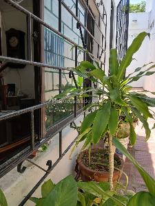 Casa en venta en El Recreo, Barranquilla · foto 3 de 19