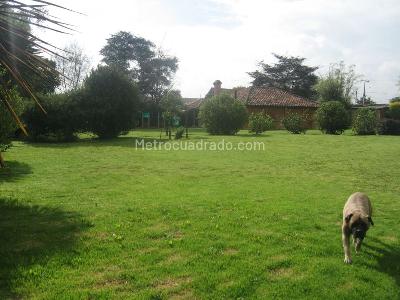 Casa de 4 alcobas en venta en Vereda Cerca De Piedra, Chía, 380 m² · foto 6 de 20