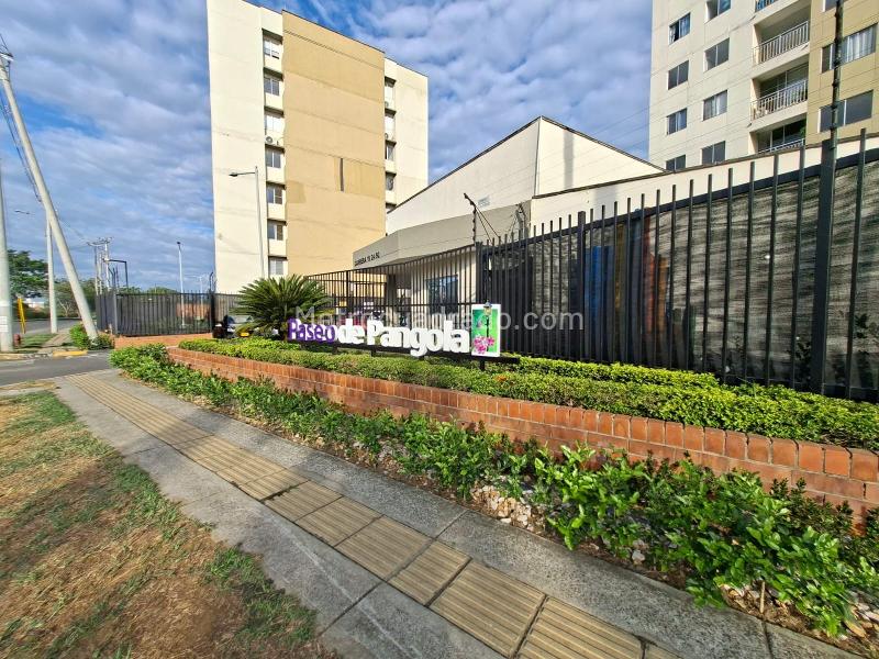 Piso – Jamundí, Surcos de pangola, Campos de Pangola - Vista 2