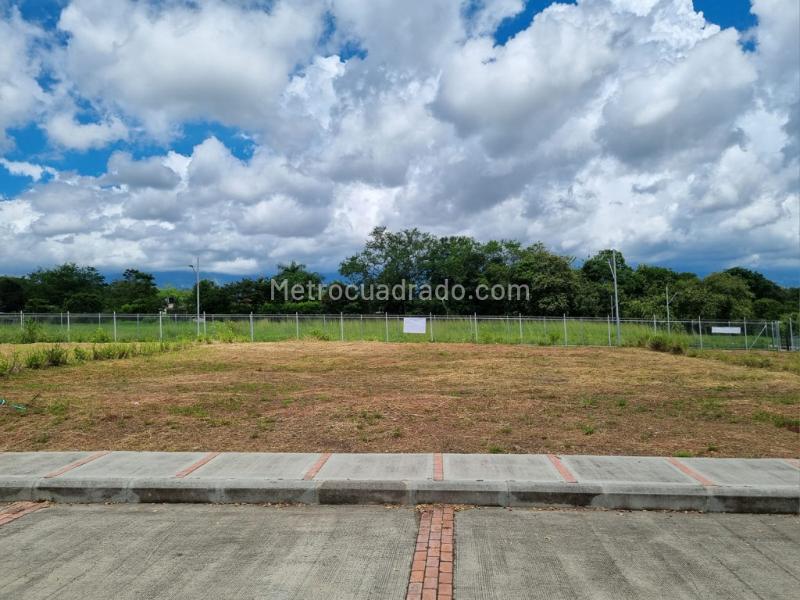 Lote en Venta, Pensilvania Centro Poblado El Totumo San Lorenzo, Ibagué - Vista 2