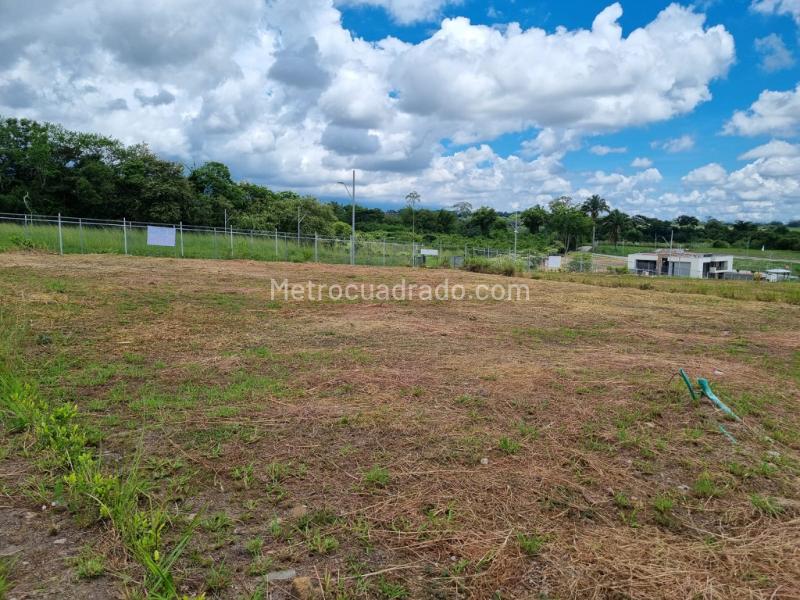 Lote en Venta, Pensilvania Centro Poblado El Totumo San Lorenzo, Ibagué - Vista 3