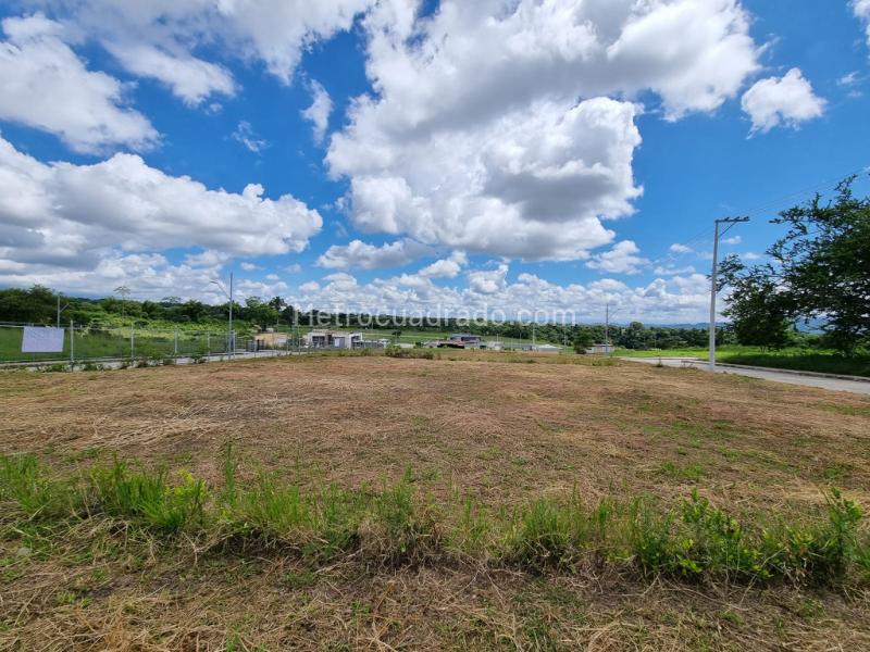 Lote en Venta, Pensilvania Centro Poblado El Totumo San Lorenzo, Ibagué - Vista 5