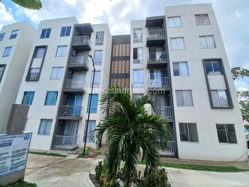 Piso – Ibagué, Arboleda del Campestre, Comuna 9 - Picaleña-Mirolindo - Más