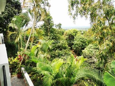 Casa de 5 alcobas en venta en Casa Campestre En Murraposa B/El Salado, Ibagué, 400 m² · foto 17 de 20