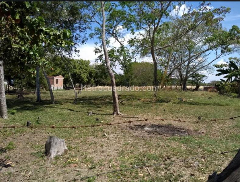 Lote en Venta, Piedra Grande Paraje Chucuni, Ibagué - Vista 4