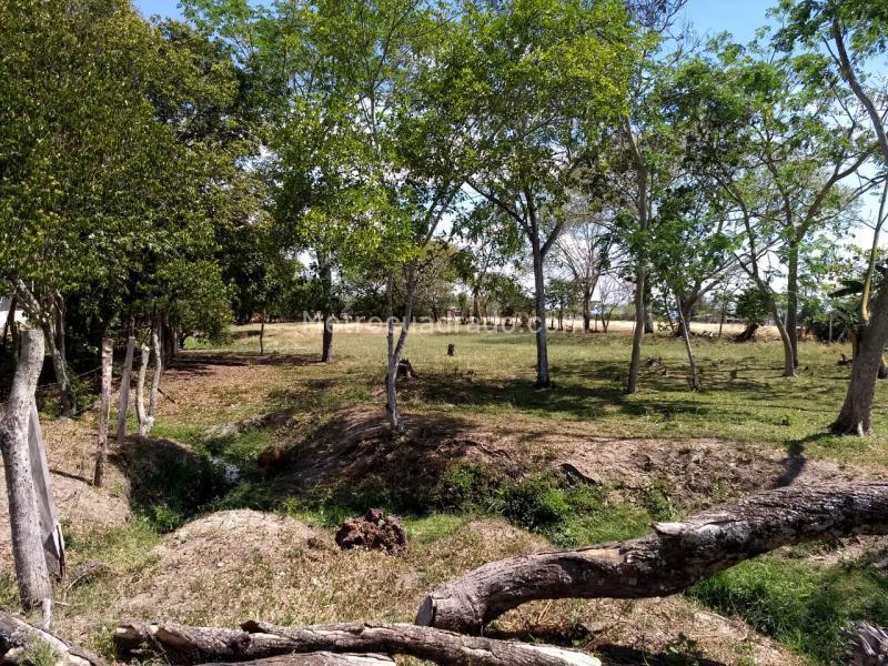 Lote en Venta, Piedra Grande Paraje Chucuni, Ibagué - Vista 5