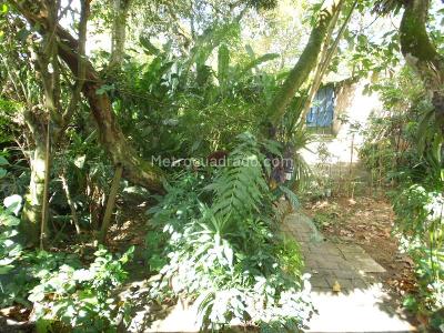 Casa de 5 alcobas en venta en La Pola, Ibagué, 728 m² · foto 19 de 20