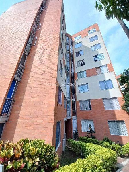 Piso – Ibagué, Comuna 9 - Picaleña-Mirolindo - Vista 2