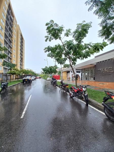 Piso – Ibagué, Comuna 9 - Picaleña-Mirolindo - Vista 3