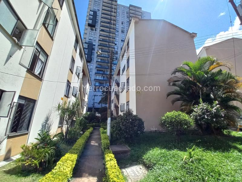 Piso – Ibagué - Vista 5