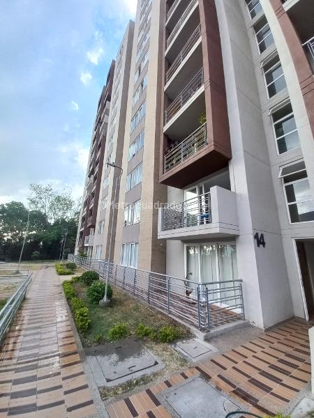 Piso – Ibagué - Vista 5