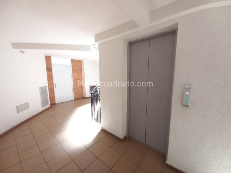 Piso – Ibagué, Comuna 7 - Salado - Más