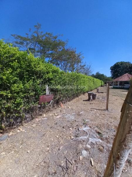 Lote en Venta, Vereda Aparco, Ibagué - Vista 4