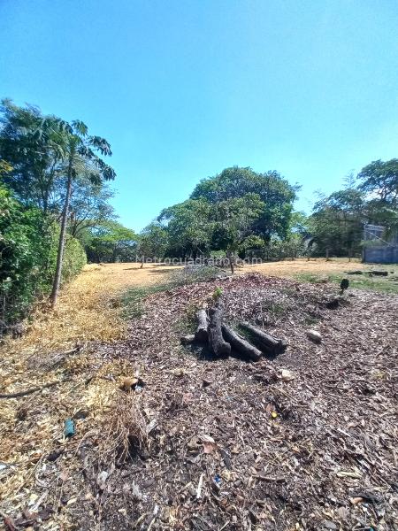 Lote en Venta, Vereda Aparco, Ibagué - Más