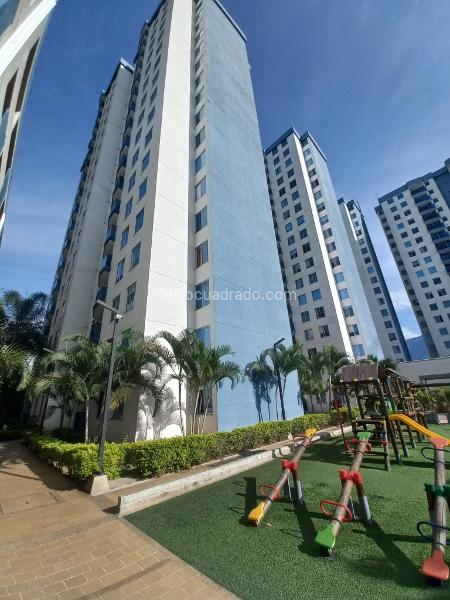 Piso – Ibagué, Comuna 9 - Picaleña-Mirolindo - Vista 3