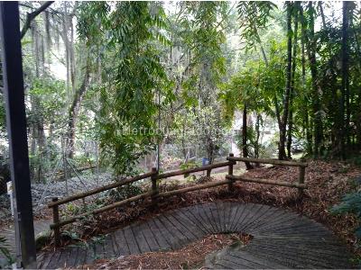 Casa de 5 alcobas en venta en Cortijo De Sabaneta, Sabaneta, 440 m² · foto 16 de 20