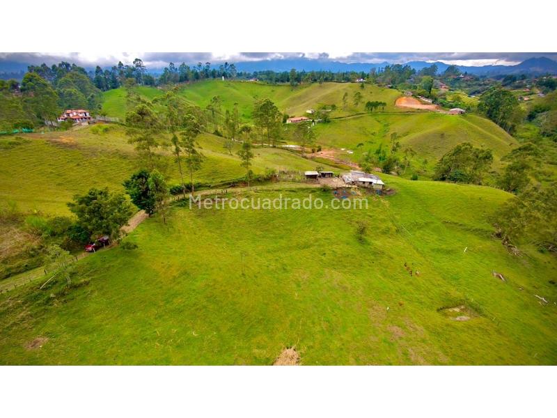 Lote en Venta, Vereda El Rosal, Rionegro - Vista 3